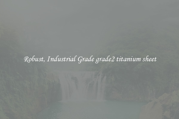 Robust, Industrial Grade grade2 titanium sheet