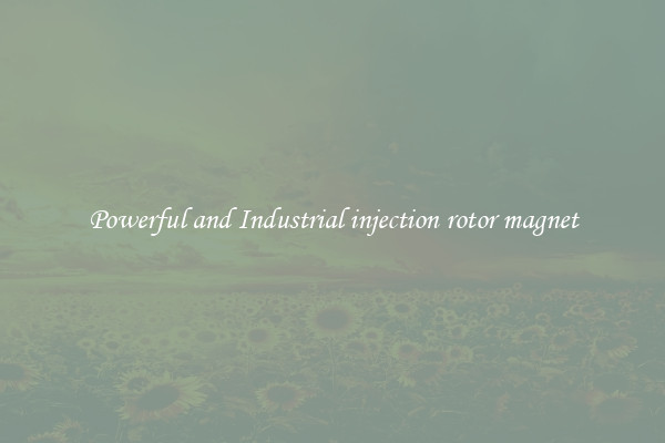 Powerful and Industrial injection rotor magnet