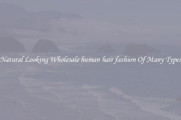 Natural Looking Wholesale human hair fashion Of Many Types