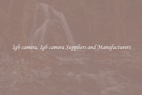 1gb camera, 1gb camera Suppliers and Manufacturers