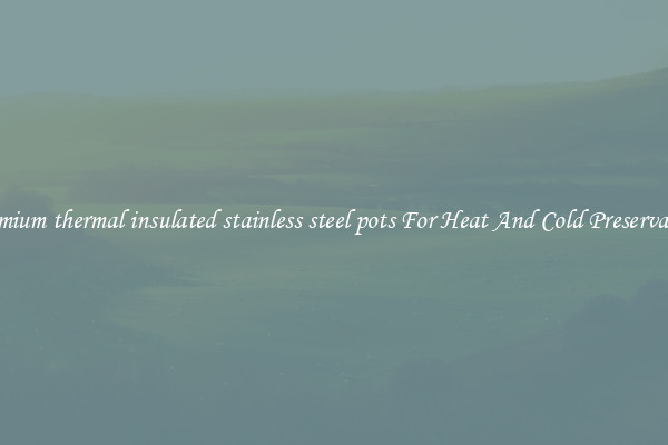 Premium thermal insulated stainless steel pots For Heat And Cold Preservation