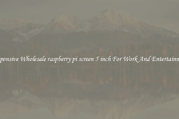 Responsive Wholesale raspberry pi screen 5 inch For Work And Entertainment