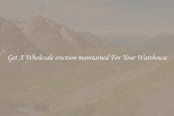 Get A Wholesale erection maintained For Your Warehouse