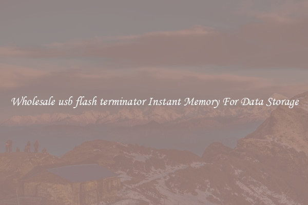 Wholesale usb flash terminator Instant Memory For Data Storage