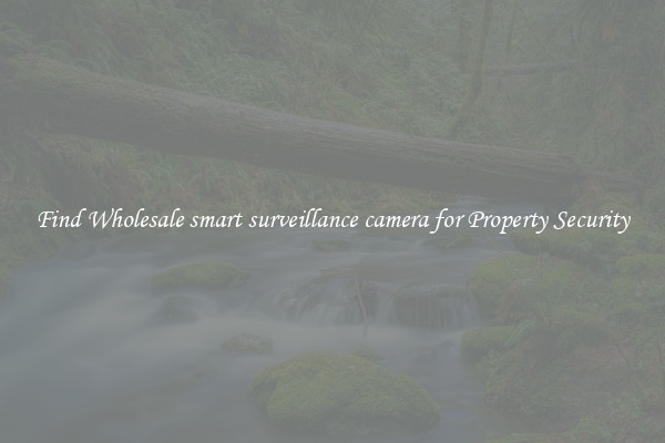 Find Wholesale smart surveillance camera for Property Security