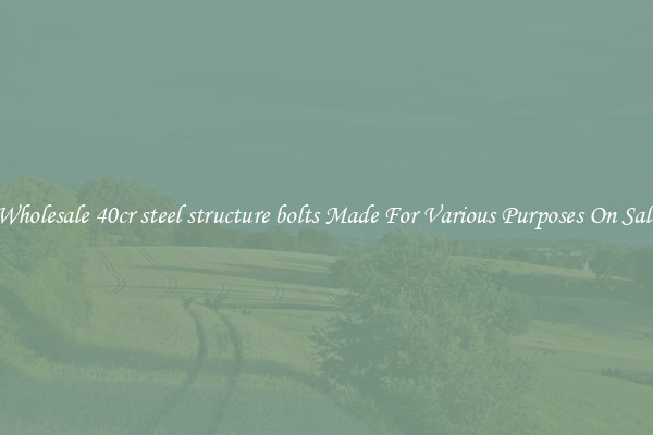 Wholesale 40cr steel structure bolts Made For Various Purposes On Sale