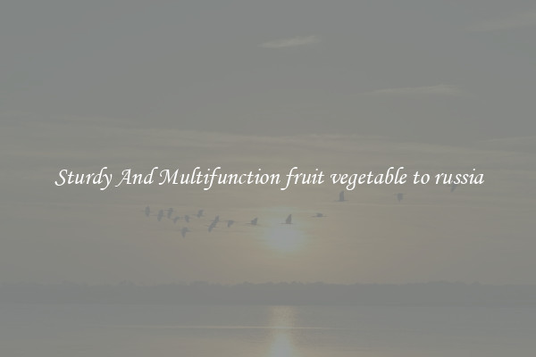 Sturdy And Multifunction fruit vegetable to russia