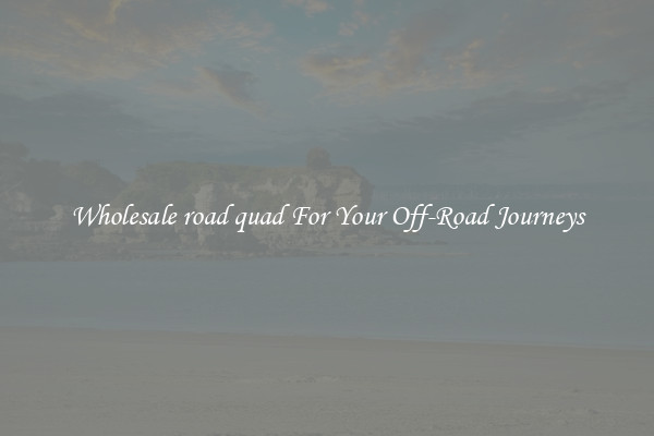 Wholesale road quad For Your Off-Road Journeys
